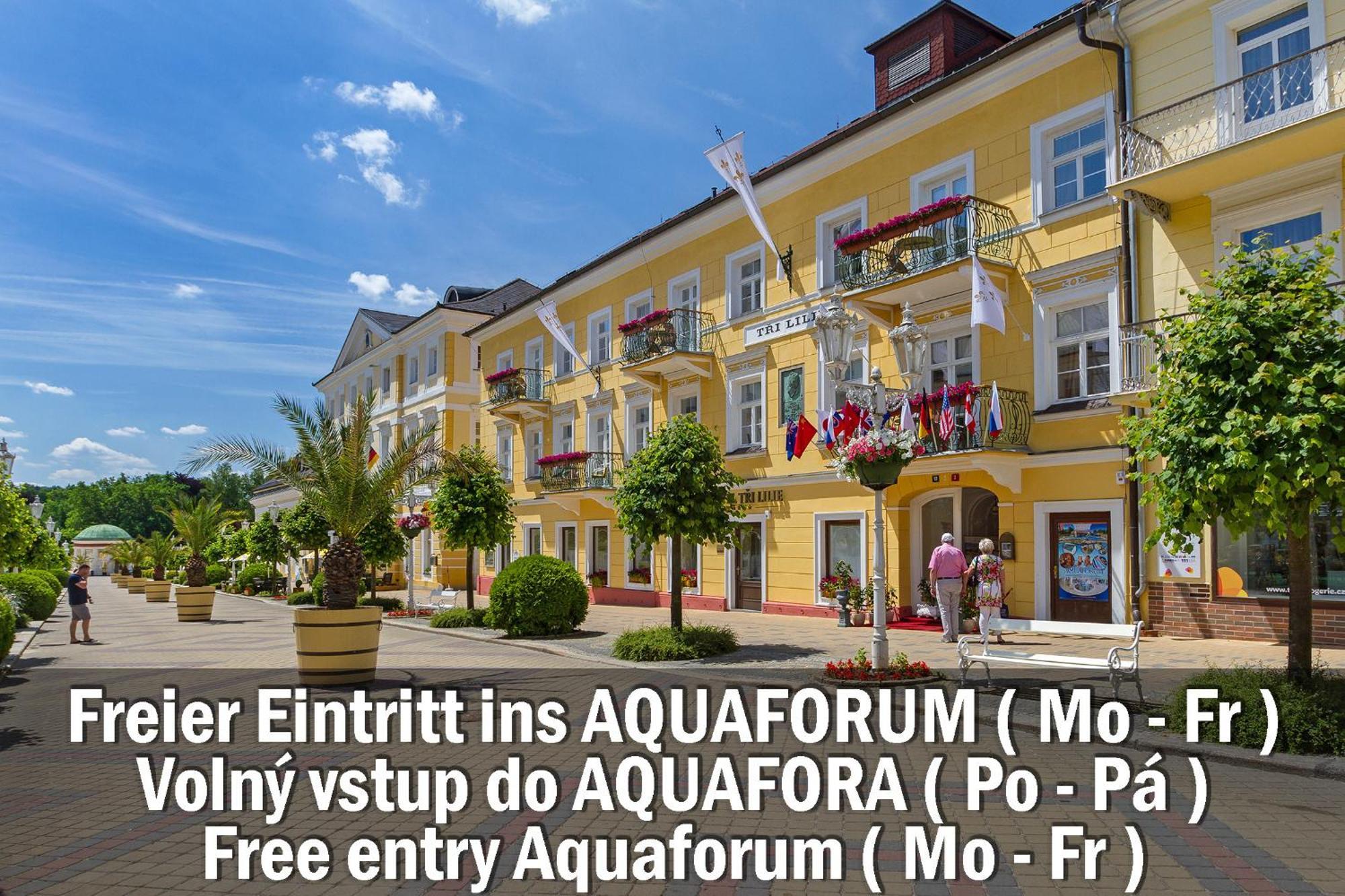 Hotel Three Lilies Inkl Aquaforum Františkovy Lázně エクステリア 写真